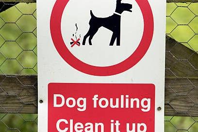 Dog fouling at Sheffield cemetery branded 'disrespectful' by grieving mum