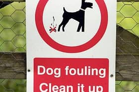 A Sheffield woman has hit out at dog walkers using City Road Cemetery