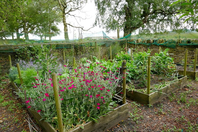 The large acreage of land has had many uses over the years, including rearing chickens, sheep and bees - and it has very productive organic vegetable gardens. Trees have been grown for coppicing, producing timber for the wood-burning stoves.