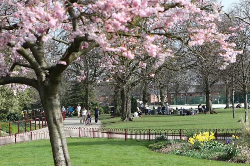 Springtime in Queen's Park.