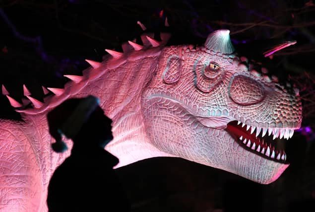Visitors to Blair Drummond Safari Park near Stirling, Scotland, enjoy the illuminations installed in the Safari Park's new 'World of Dinosaur' exhibit.