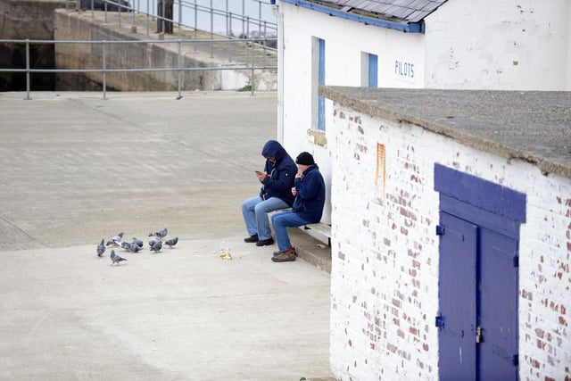 Two people feed the pigeons near the Headland's pilot pier.