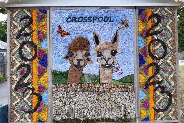 Alpacas at the Crosspool Festival by @bellsandbikes