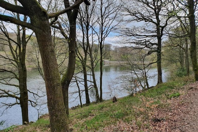 While not strictly a park per say, Linacre Reservoirs nonetheless hits all the familiar beats you'd want a great park to hit. 

With an array of walking trails that are also suitable for biking, if you're an avid hiker, look no further than Linacre.
