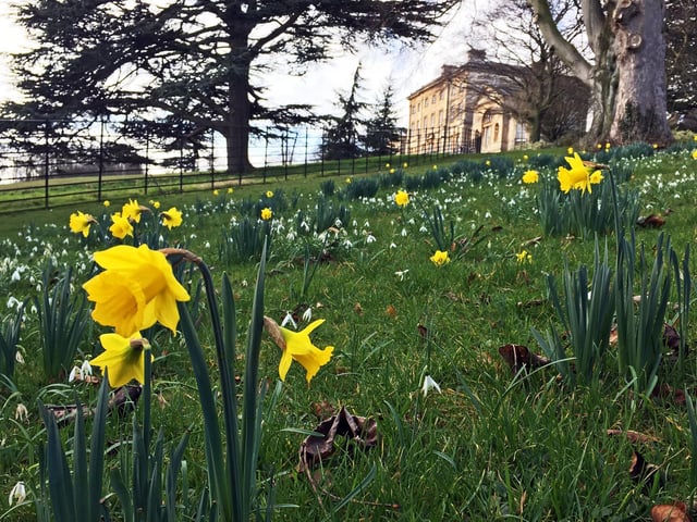 With free entry to the museum you can also grab food and a drink in the grounds.