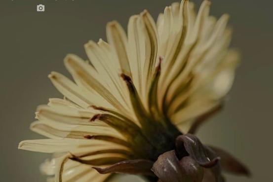 The plants must love all the rain! From @theskysthelimit.photography