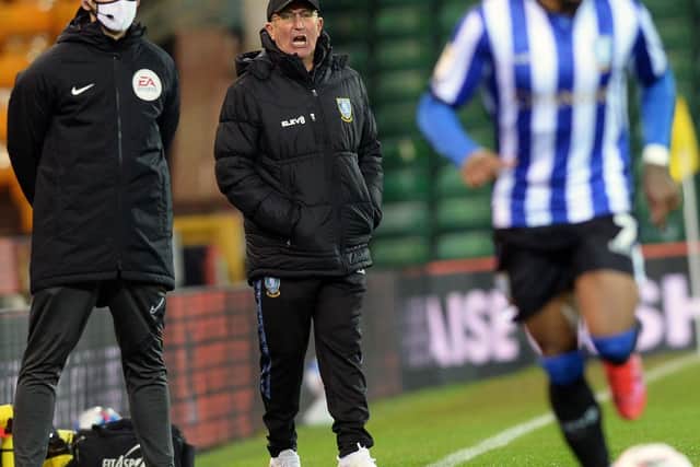 Sheffield Wednesday manager, Tony Pulis. Photo: Steve Ellis.