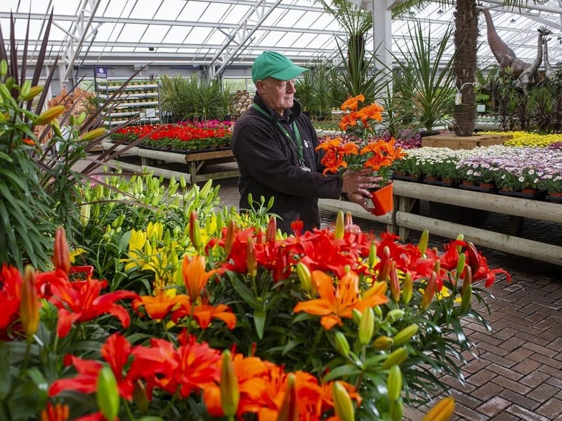 Tong Garden Centre and its cafes were inspected on August 19, 2026. It was rated 5 - Very Good.