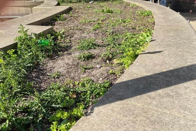 Hoyland residents have blasted Barnsley Council for “stupidity” over plans to install artificial grass on flowerbeds.