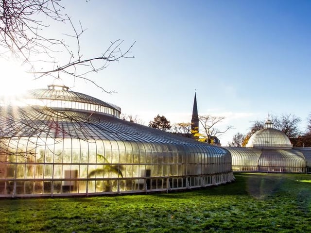Glasgow Botanic Gardens is bursting with colour all year round, but is a particular pretty place to visit when the vivid colours of autumn arrive (Photo: Shutterstock)