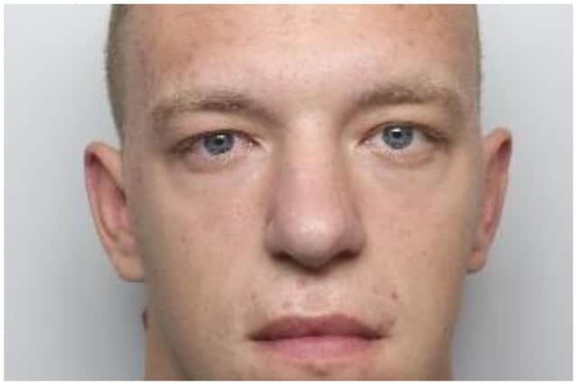 Reece Wales has been jailed for 15 months for mowing down a police officer on a Sheffield Road