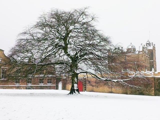 We can't promise snow, but we can guarantee a fun day out at Bolsover Castle, which is staging a 'Christmas Adventure Quest' for the whole family every weekend until December 19. Follow the trail, find the clues and discover the Derbyshire castle's amazing stories and secrets.