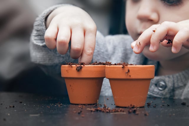 Planting seeds and watching them sprout and grow is always rewarding. And you don’t need a garden. Pop some multi-purpose compost in a plant pot, plastic cup or old yogurt pot, sprinkle the seeds in and cover with compost. Encourage your child to take responsibility for making sure the plant has enough water and sunlight, and challenge them to record what happens to the seed each day.