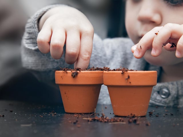 Planting seeds and watching them sprout and grow is always rewarding. And you don’t need a garden. Pop some multi-purpose compost in a plant pot, plastic cup or old yogurt pot, sprinkle the seeds in and cover with compost. Encourage your child to take responsibility for making sure the plant has enough water and sunlight, and challenge them to record what happens to the seed each day.