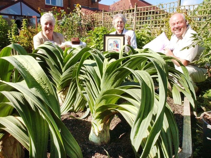 Board Inn Leek Club chairman Les Scott was pictured with Val Lowery and Maureen Smith for this photo 22 years ago as they got ready for the annual leek show in 2004.