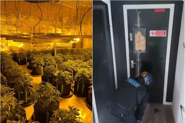 A huge cannabis farm was found in Tinsley, Sheffield