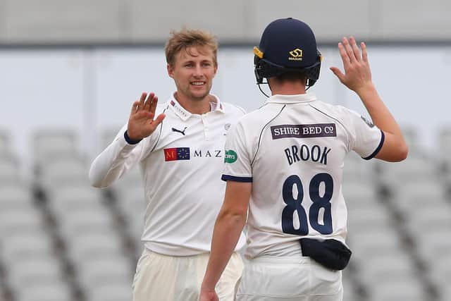 Joe Root of Yorkshire celebrates with Harry Brook after taking a wicket  (Photo by Alex Livesey/Getty Images)
