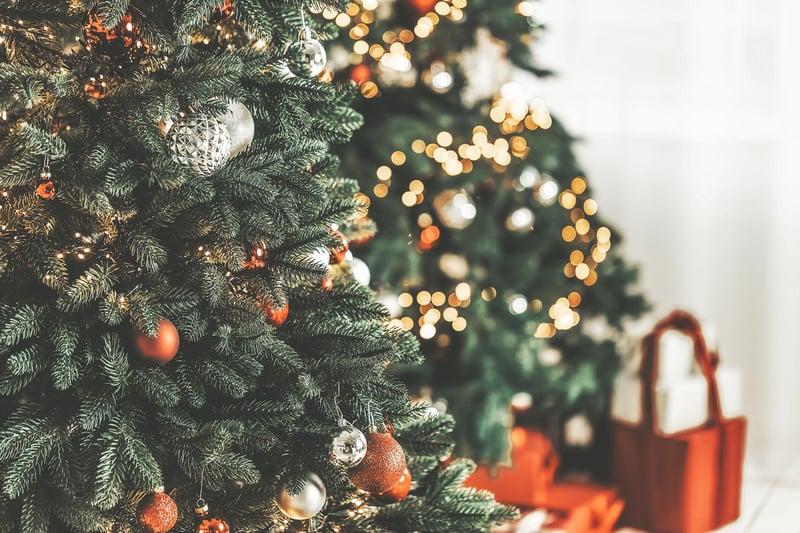 Ryman’s Christmas Trees is a small, family run Christmas shop and tree shop that opened in 2018. The business in Manor Farm, Wall, Lichfield. They will have trees such as  Nordmann Firs available. Their tree prices range between £40 and £190 with the most expensive costing £380  