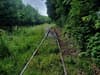 Sheffield-Stocksbridge train: Plans to restore passenger services gather pace as photos show overgrown tracks