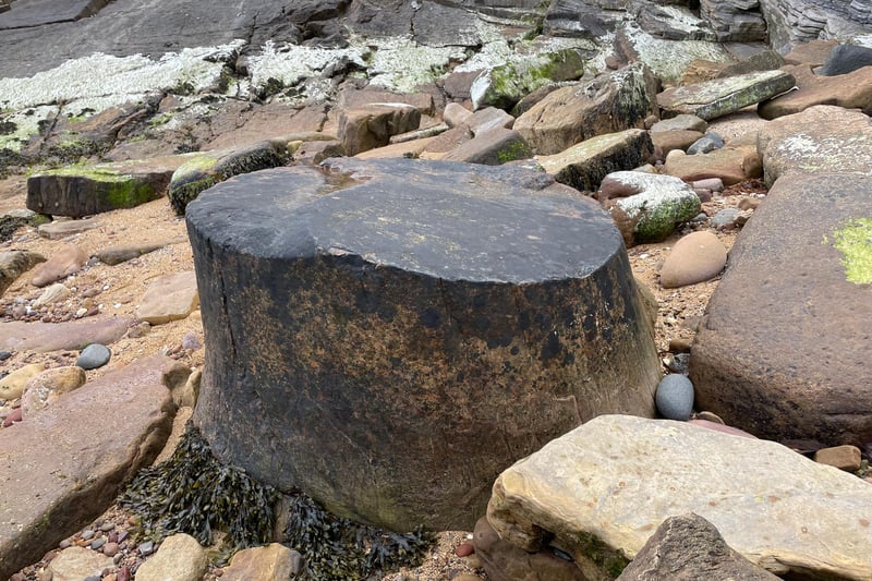 If you walk south from Crail Harbour at low tide you can see a 60 million-year-old fossilised tree trunk from the Carboniferous era, as well as tracks left my monster millipedes that measured around two metres long. The fossils attracted Sir David Attenborough to the area filming his television series First Life.