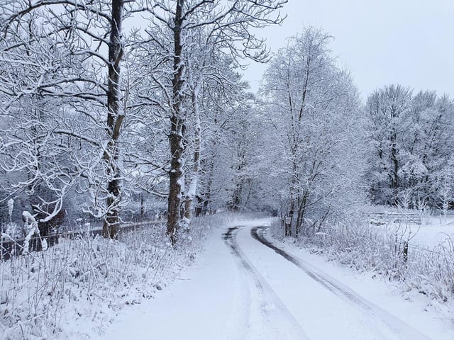 Residents of Lamancha, in the Scottish Borders, woke up to their very own winter wonderland!