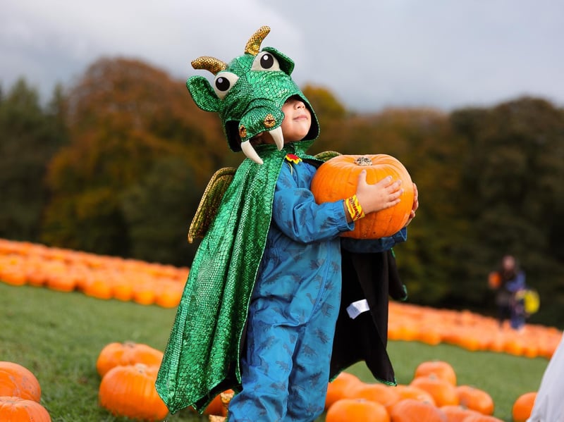 A family-friendly Halloween day out bundling multiple attractions into one ticket. Explore the traditional Monster Maze, follow the Woodland Witches live theatre trail, and battle through the Zombie Laser Tag arena 🎃 Stockeld Park, Wetherby, LS22 4AN
