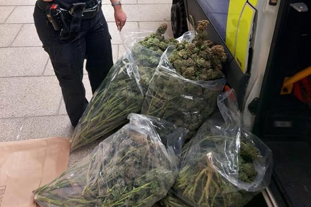 Police seized around £200,000 worth of cannabis after its smell was picked up by a factory’s air conditioning system in Sheffield in August this year.
Officers were called out after concerns were raised about the aroma which had started to be noticed in the building in Hillsborough by the people working there.
Police told how they checked the rood near the air conditioning and worked out where the smells were coming from before speaking to a number of residents on Bradfield Road.
Officers then entered two separate properties, both of which they described as having been ‘extensively modified’ for cannabis production.