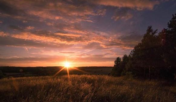 A beautiful Summer sunset taken by @distorted.vision_