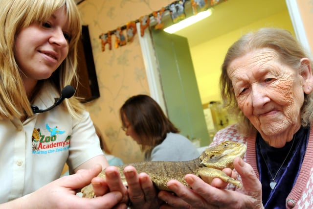 Zoo Academy paid a visit to Queen Elizabeth Court with Simonside Primary School pupils in 2013. Zoo Academy Claire Gibson is pictured with resident Mary Purcell.