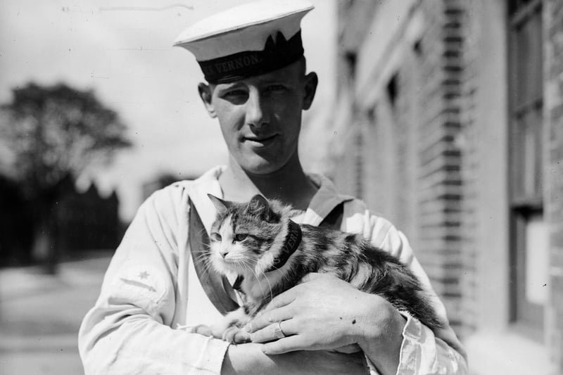 5th September 1931:  A sailor from the naval vessel HMS Vernon holding the ship's feline mascot, Minnie during a stay at Portsmouth. Picture: Fox Photos/Getty Images