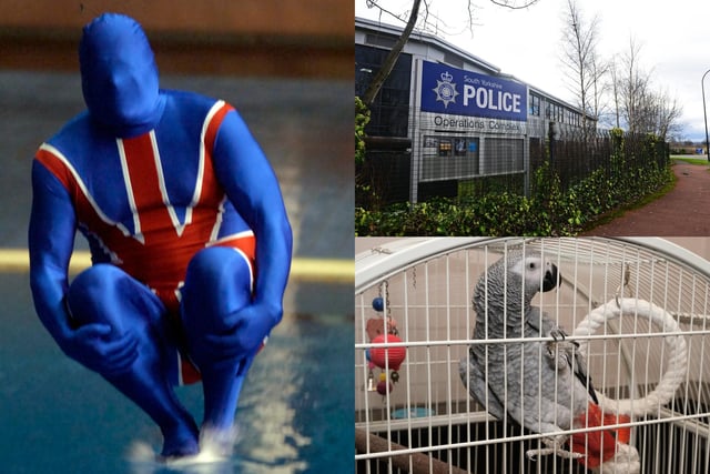 Some of the funniest and most uplifting things about Sheffield include the World Water Bombing Championships, the brilliantly named location of South Yorkshire Police's Operations Complex, and a foul-mouthed parrot