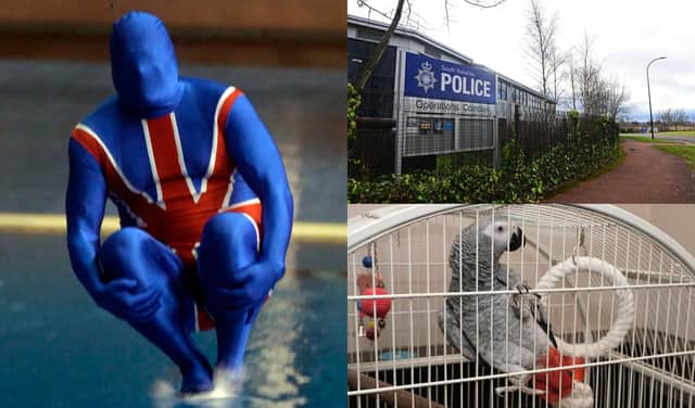 Some of the funniest and most uplifting things about Sheffield include the World Water Bombing Championships, the brilliantly named location of South Yorkshire Police's Operations Complex, and a foul-mouthed parrot