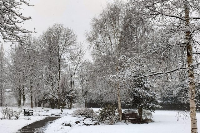 A snowy Mortomley Park in High Green by @CazCutts1