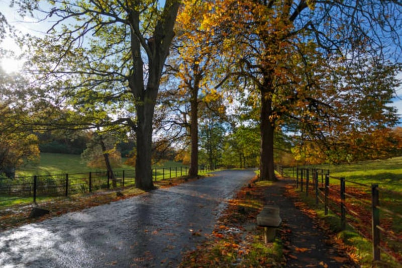 After having a look around the award winning Burrell Collection, explore Pollok Park for the perfect autumn walk where you can check in on the field of Highland cattle. 