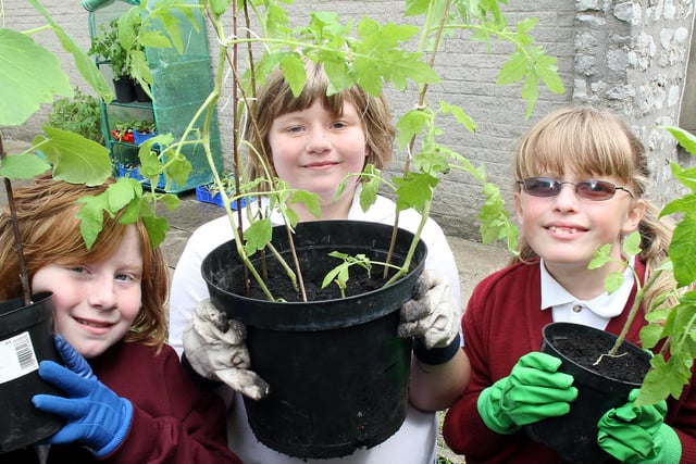 Charlotte Bingham, Rebecca Bingham and Morgan Miller from Bakewell Methodist Junior School with tomato plants on sale to raise money for sports equipment in  2007.