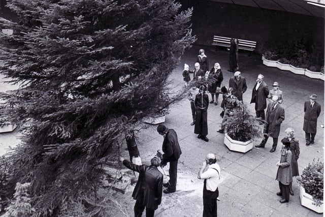 The scene in Sheffield Hole in the Road as early Sunday visitors pause to watch the Christmas tree being put in place in November 1975