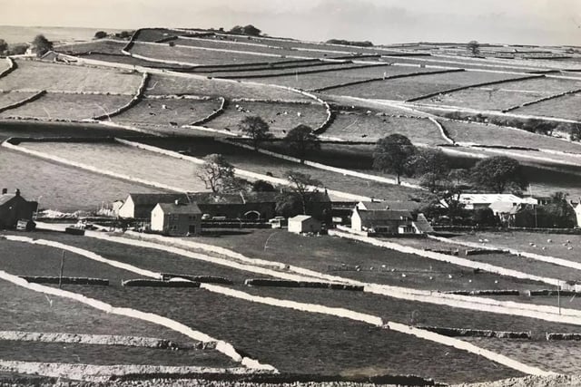 Derbsyhire's famous dry stone walls make attractive pastoral patterns on the fields near Wardlow - October 1984