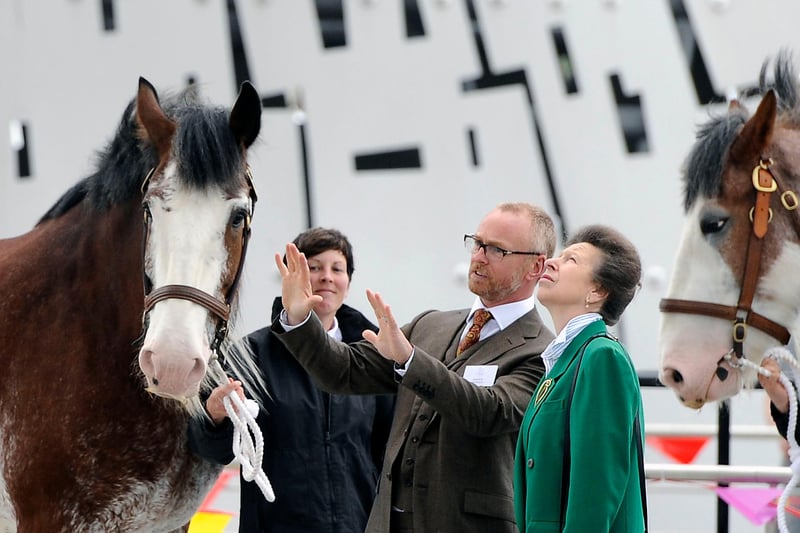 Princess Anne with sculptor Andy Scott and Clydesdales Duke and Dan.