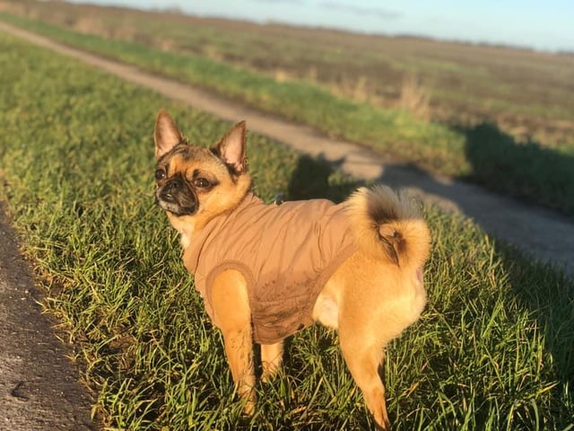 Bec Jade has enjoyed lots of long walks with her dog.