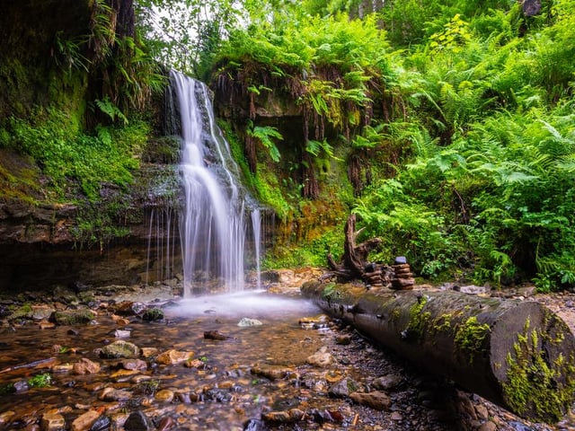 Walk Maspie Den as a loop, starting from the quaint village of Falkland and soaking up the bright colours of autumn as you saunter along the woodland paths (Photo: Shutterstock)
