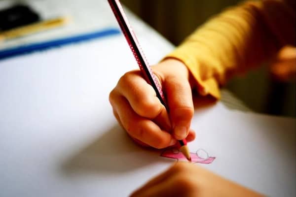 Nineteen schools across Rotherham will be closed tomorrow (July 4), as voters elect their next MP.