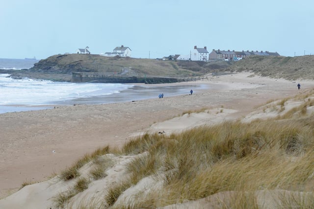 The lovely sandy beach at Seaton Sluice is great for walkers and dogs and there are lots of interesting things nearby to see.