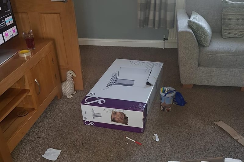 The love of boxes, sent in by Lucy Gibson. "Can you spot the child?"