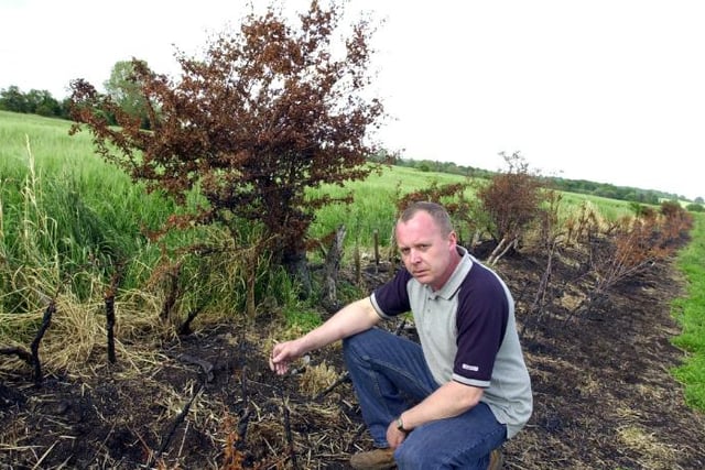 Farmer David Brookfield mad after a hedge on his Tickhill Field was burned by vandals in 2003.