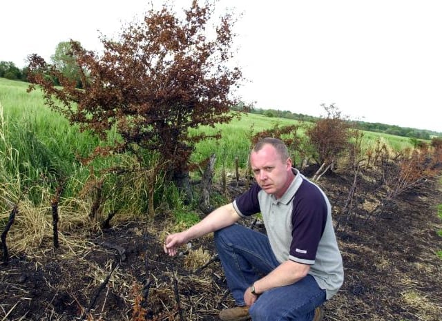 Farmer David Brookfield mad after a hedge on his Tickhill Field was burned by vandals in 2003.