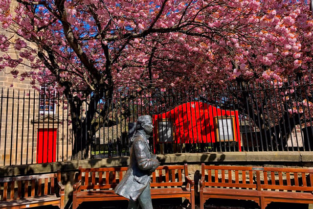 The Kirk’s red panelling and sandstone is beautifully set off by blue skies and thriving blossoms filling the atmosphere with a bright historical serenity. (credit: Sandra Beattie)