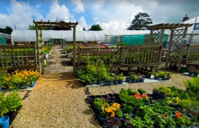 Old Oak garden centre in Bells Lane, Hoghton, rates as 4.8 out of 5 on Google Reviews.
It is a family-run business and the majority of plants sold are propagated and grown in its own onsite nursery.
"First class plants at reasonable prices with expert advice."