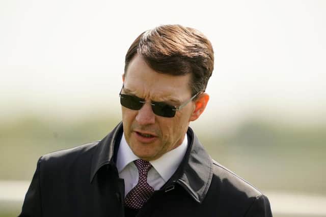 Aidan O'Brien. Photo by Alan Crowhurst/Getty Images