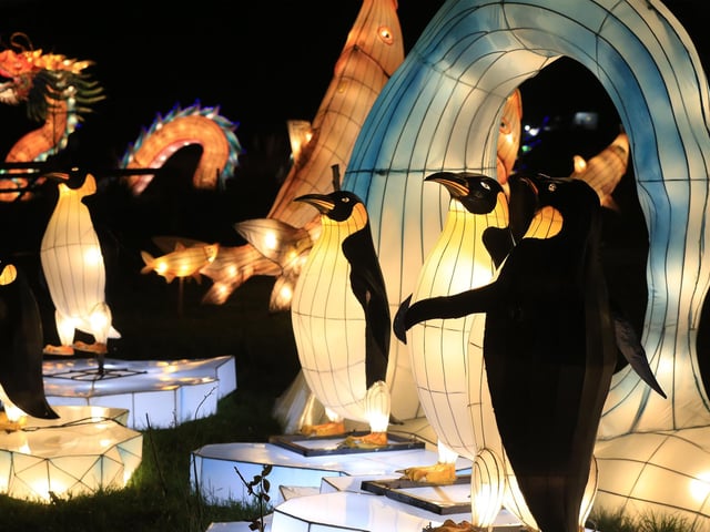 A spectacular light and lantern festival created some dazzling Christmas magic as the award-winning Yorkshire Wildlife Park unveiled the Winter Illuminations trail today. Picture: Chris Etchells