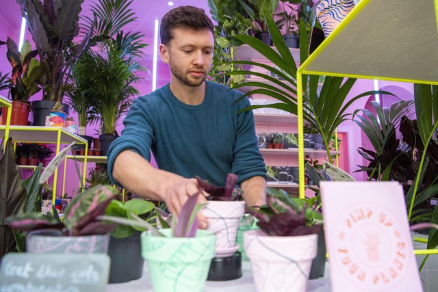 Edinburgh lad Andrew Forbes has fulfilled one of his lifelong dreams of setting up a tropical plant shop in the Capital where he can wow fellow plant lovers with his exotic selection of flora and foliage.